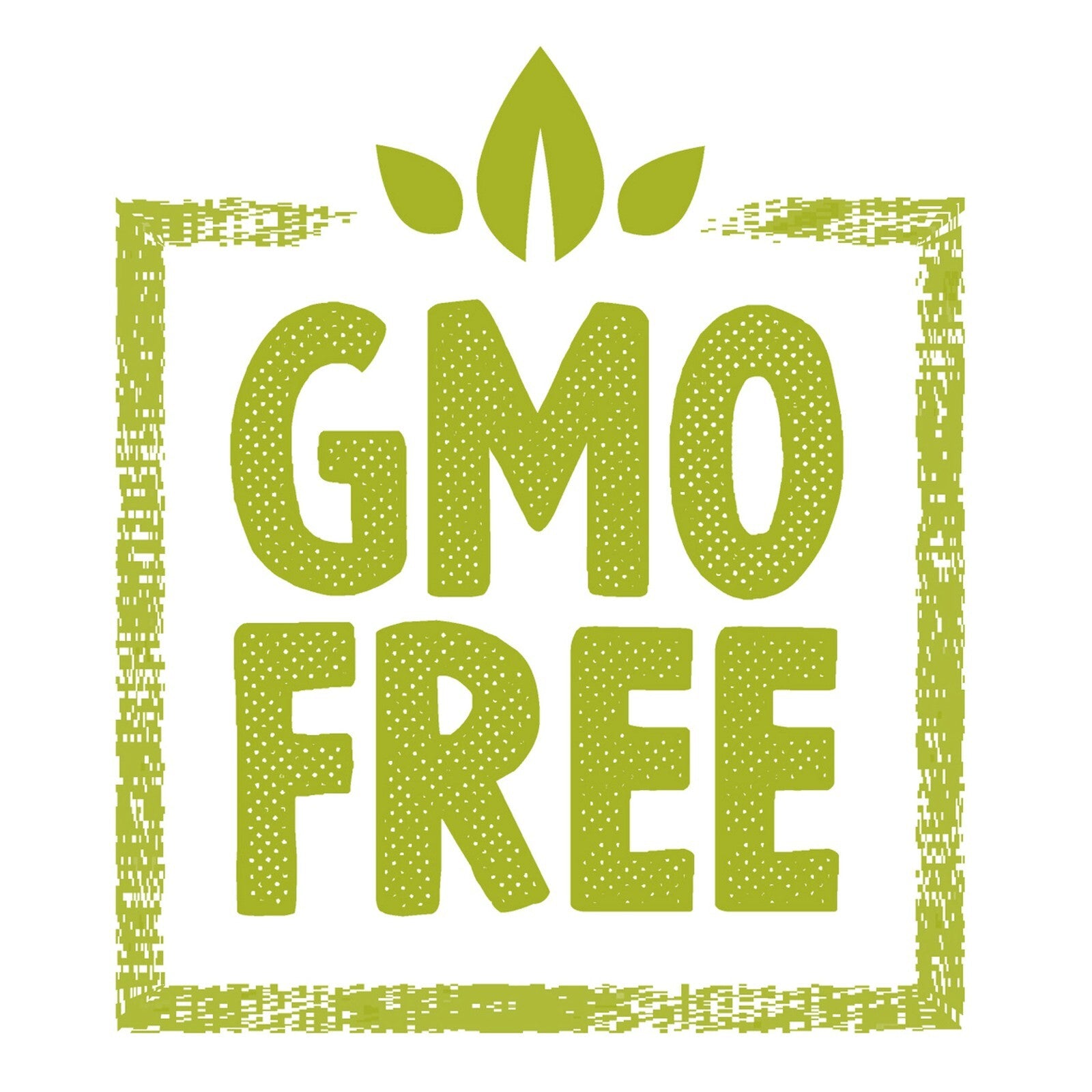 Bio Ashwagandha - 240 Kapseln - Hochdosiert - 240 Tage - Vegan Lover® Original