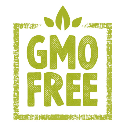 Fadogia Agrestis Komplex | Mit Ashwagandha Ginseng Guarana Piperin | Vegane Kapseln | Ohne Zusatzstoffe | Handmade Deutschland | HDS Pharman